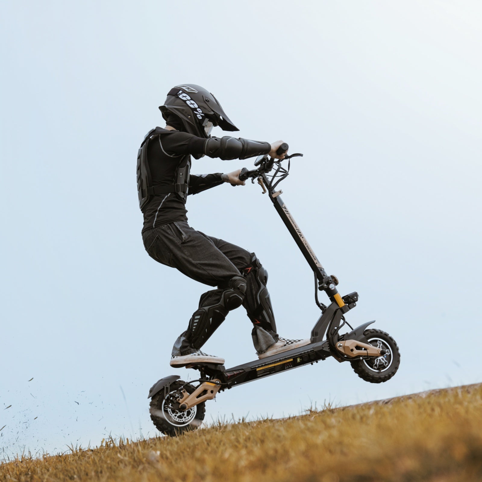 Cruiser Pro Off-Road Electric Scooter