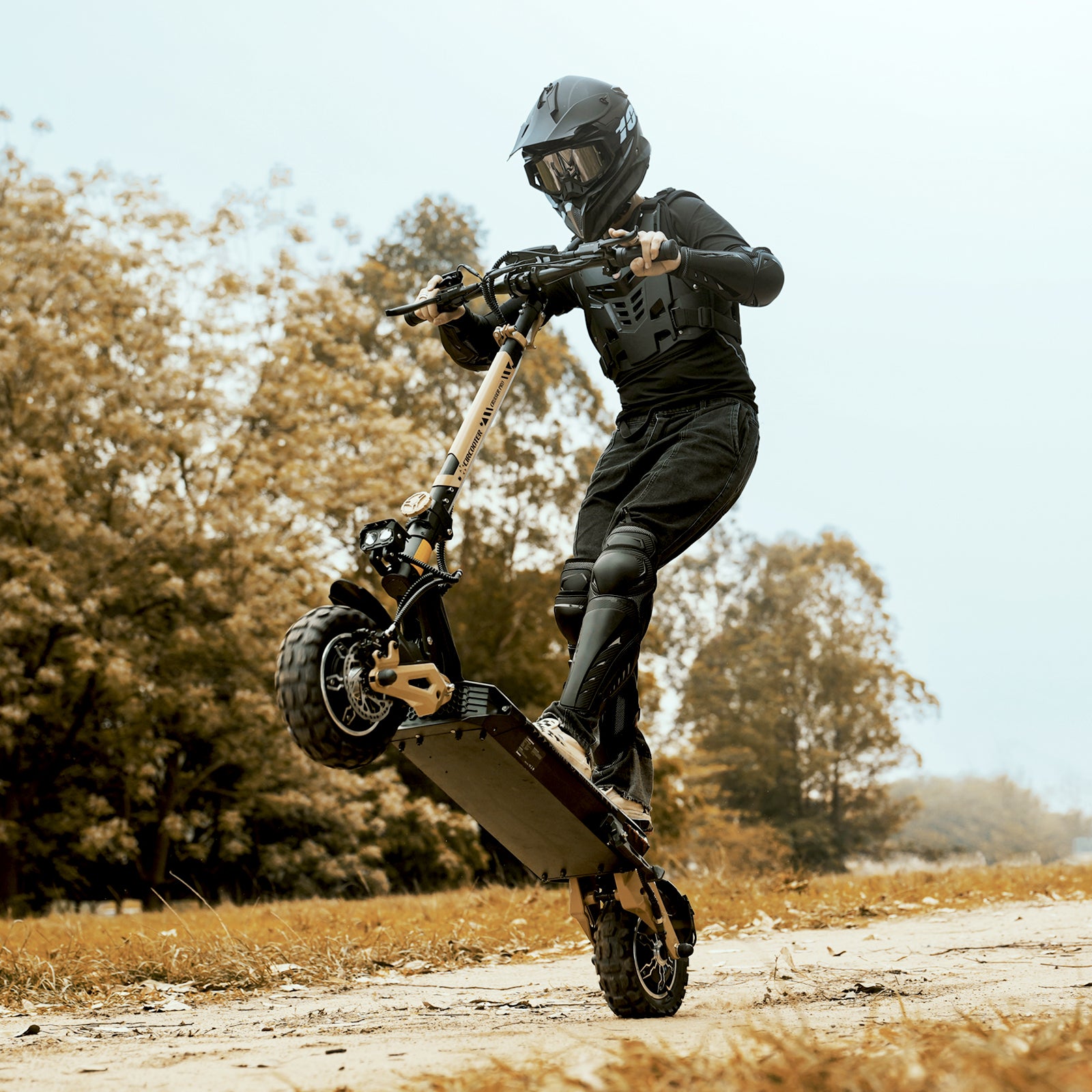 Cruiser Pro Off-Road Electric Scooter
